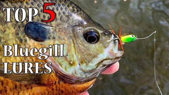 What is the best artificial bait for bluegills?