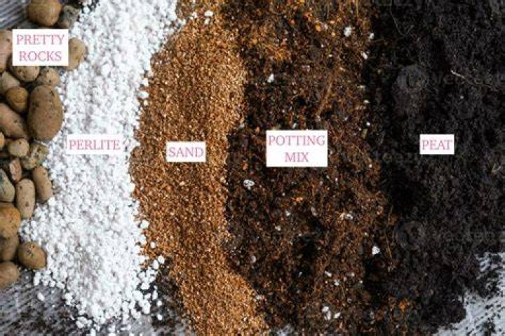 What is the best mix for seedlings?