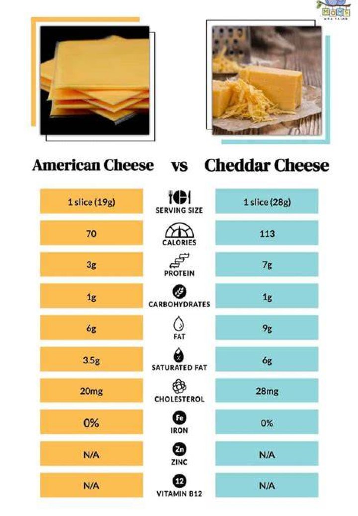 What is the cost of American cheese?
