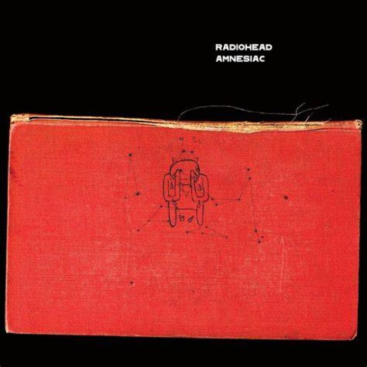 What is the cover of amnesiac?