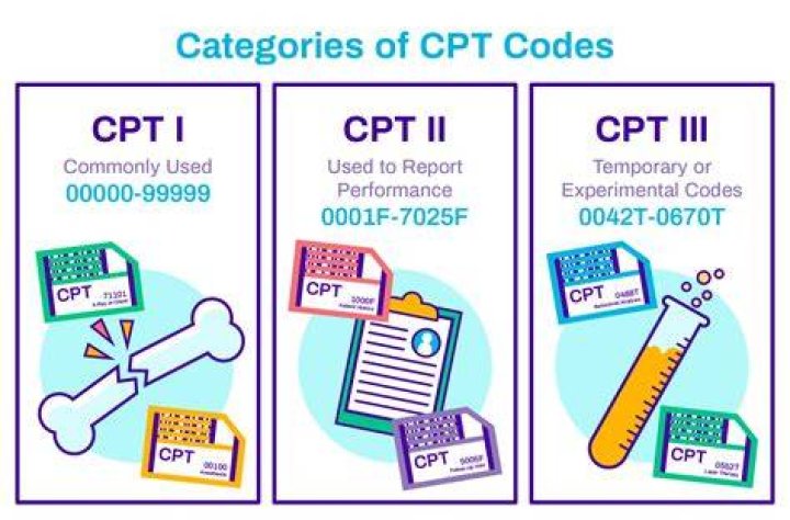 What is the CPT code for air ambulance?