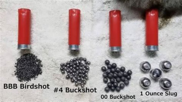 What is the difference between 000 buckshot and 00 buckshot?