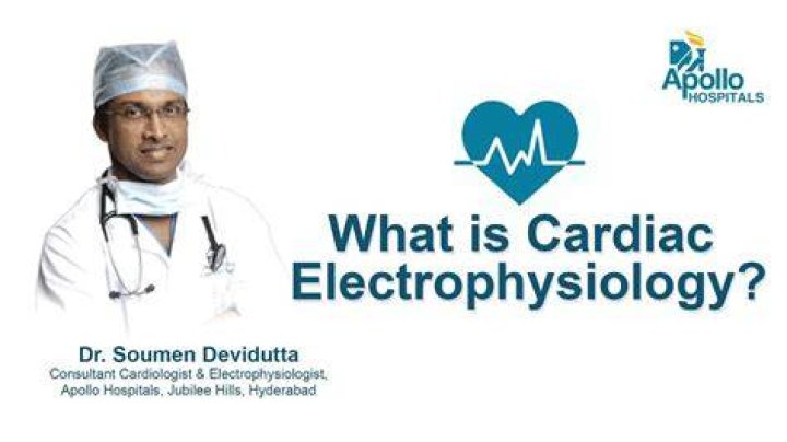 What is the difference between a cardiologist and an electrophysiologist?