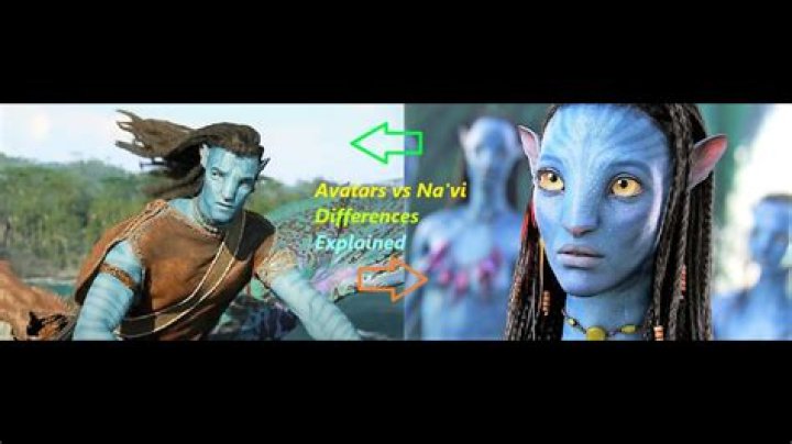 What is the difference between avatar and profile picture?