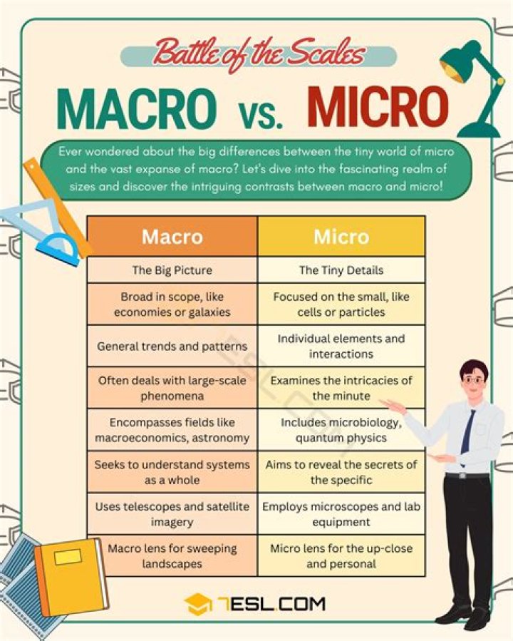 What is the difference between macro and micro researches?