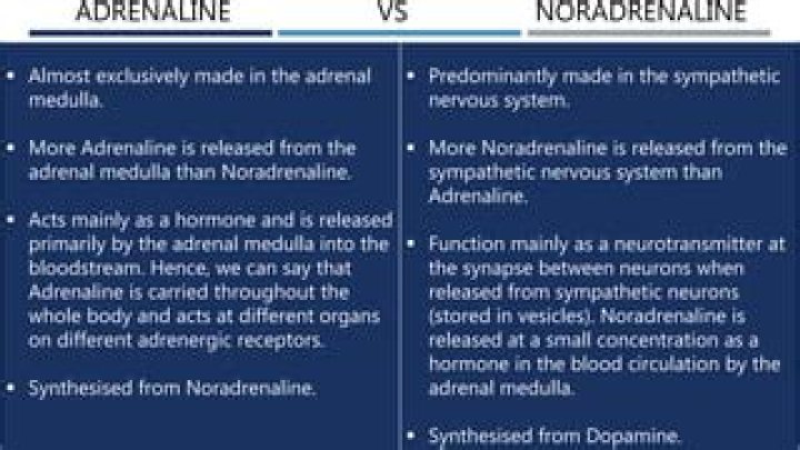 What is the difference between Metaraminol and noradrenaline?