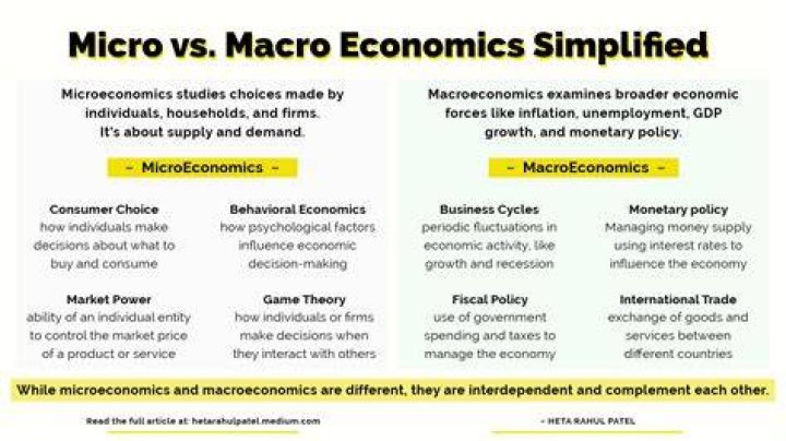 What is the difference between micro and macro economic policies?