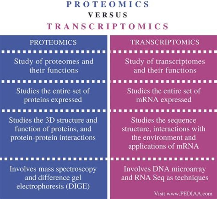 What is the difference between transcriptome and proteome analysis?