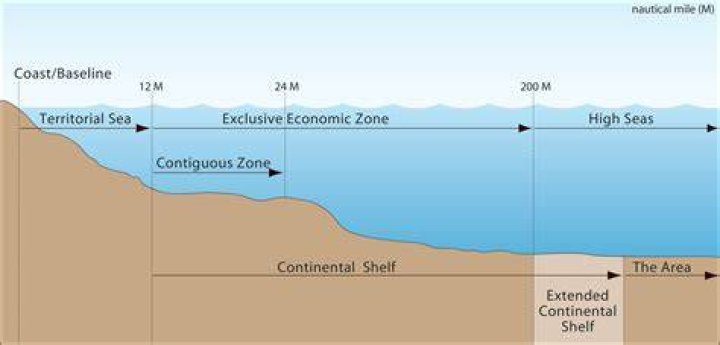 What is the economic importance of continental shelf?