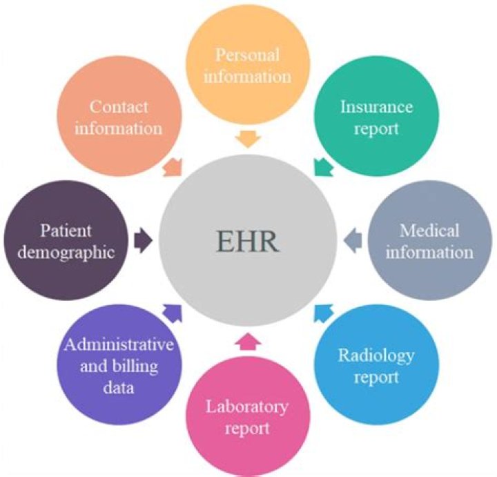 What is the EHR reporting period?