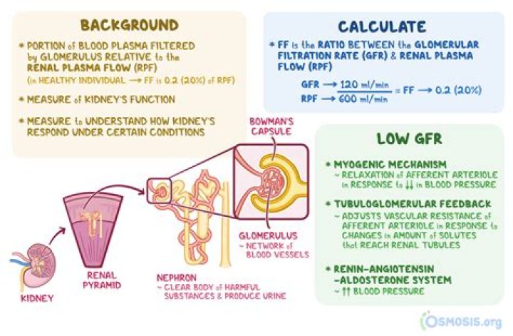 What is the formula for calculating glomerular filtration rate?