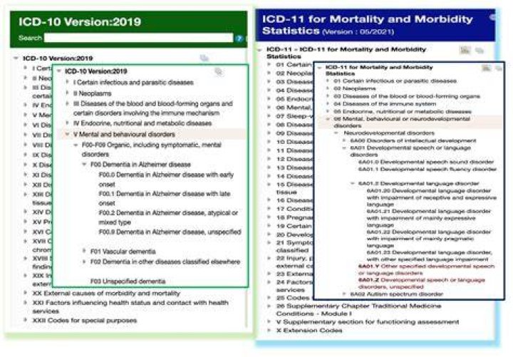 What is the ICD 10 code for systolic murmur?