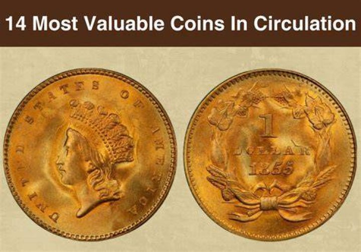 What is the importance of coins in history?