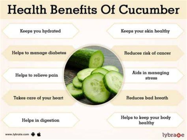 What is the importance of cucumber?