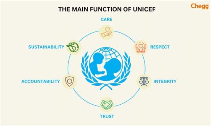 What is the job of UNICEF?