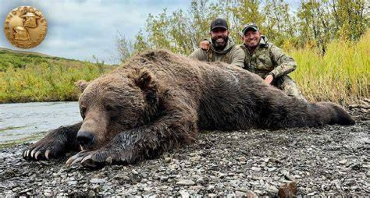 What is the largest grizzly bear ever killed in Alaska?