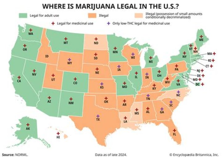 What is the legal subculture?