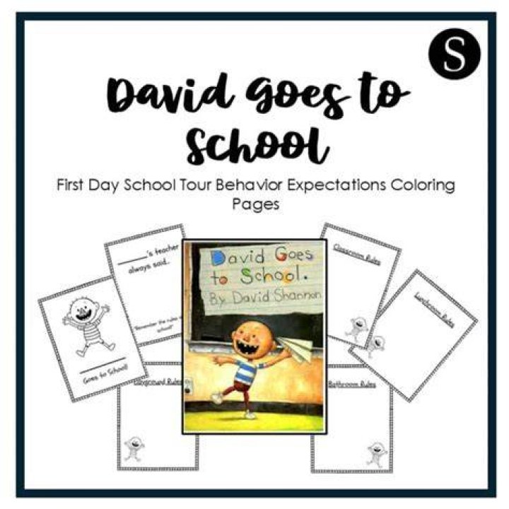 What is the lesson in David goes to school?