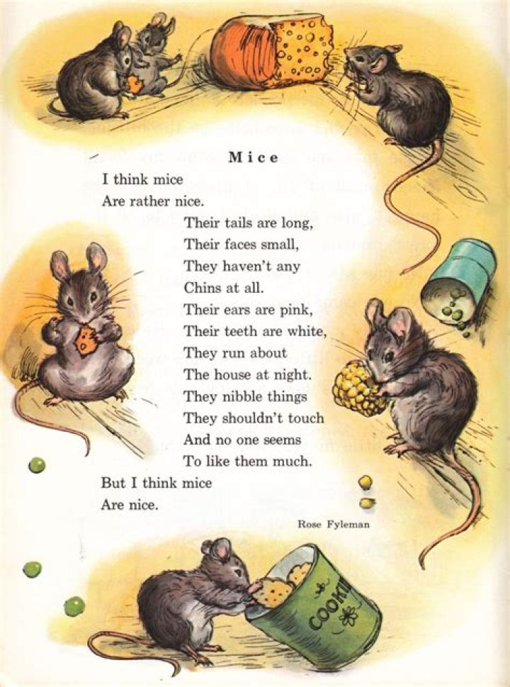 What is the main idea of the poem To a Mouse?