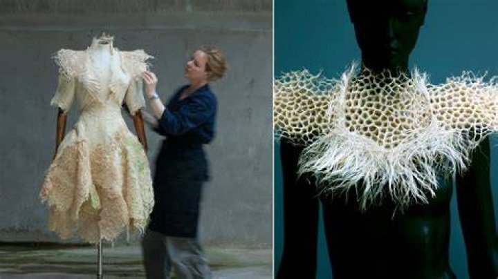What is the mannequin fashion designers use?