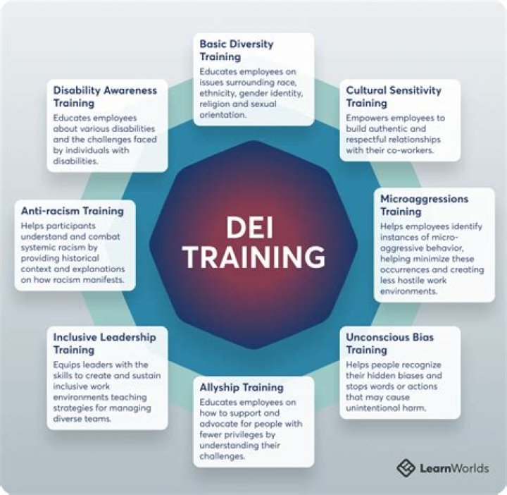 What is the meaning of DEI?
