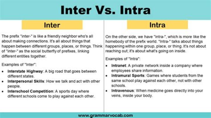 What is the meaning of intra-community?