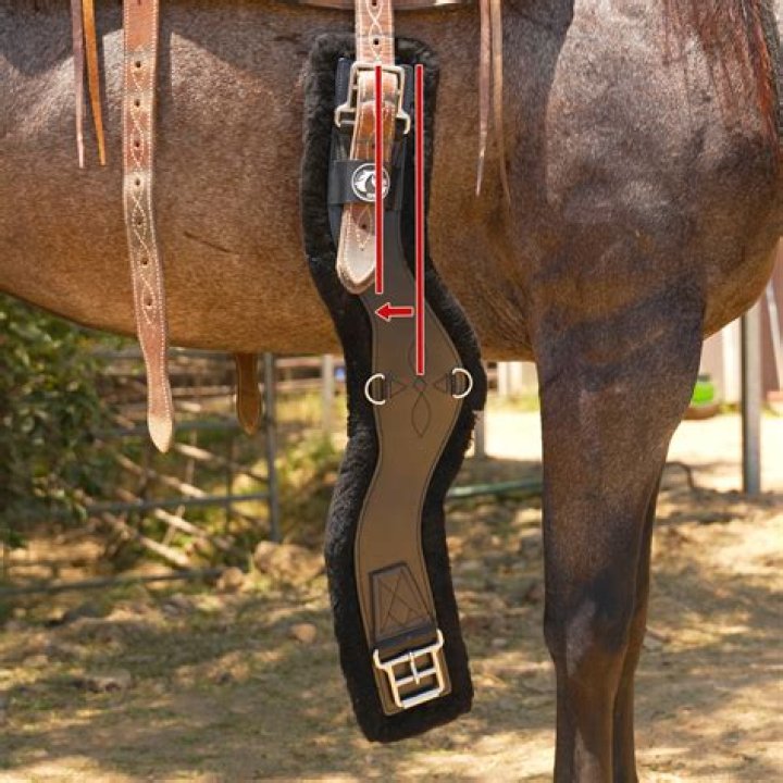 What is the most comfortable western cinch?