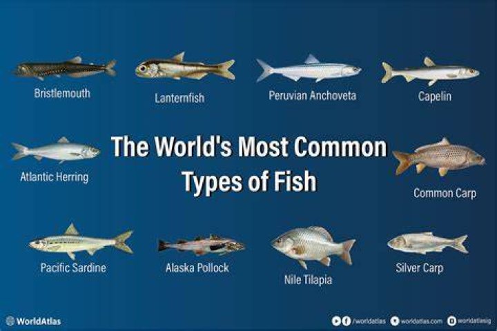 What is the most common Igbo name?