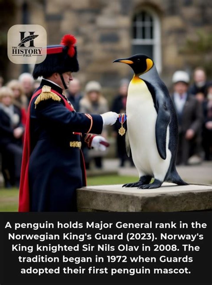 What is the name of the knighted penguin?