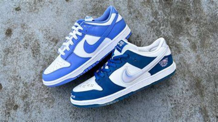 What is the Nike SB Dunk High?