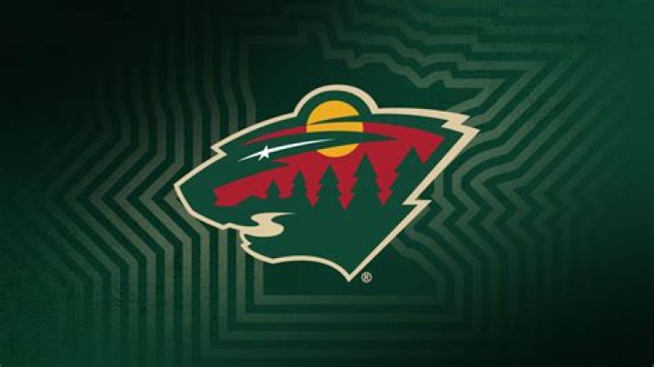 What is the official web site of the Minnesota Wild?