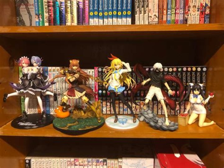 What is the point of collecting anime figures?