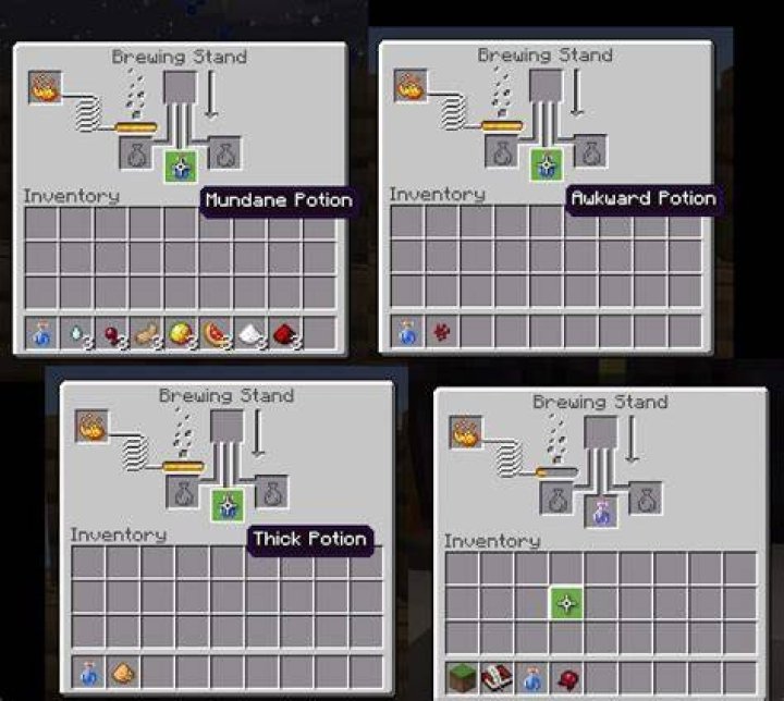 What is the potion ID?