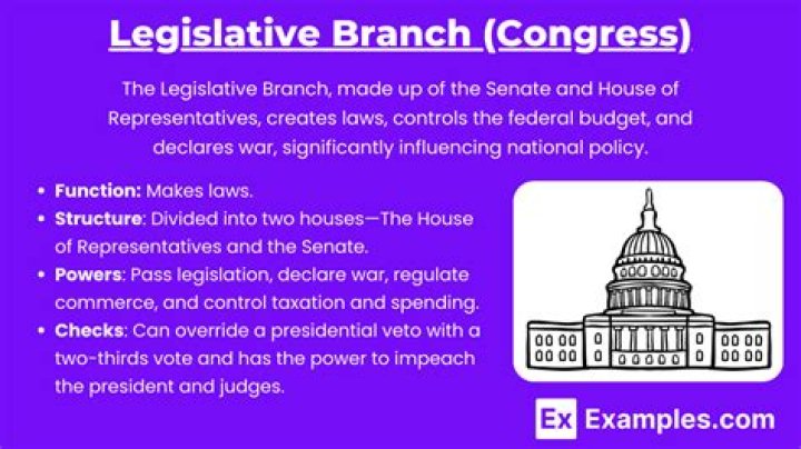 What is the power of the legislative branch?