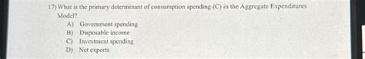 What is the primary determinant of consumption spending?