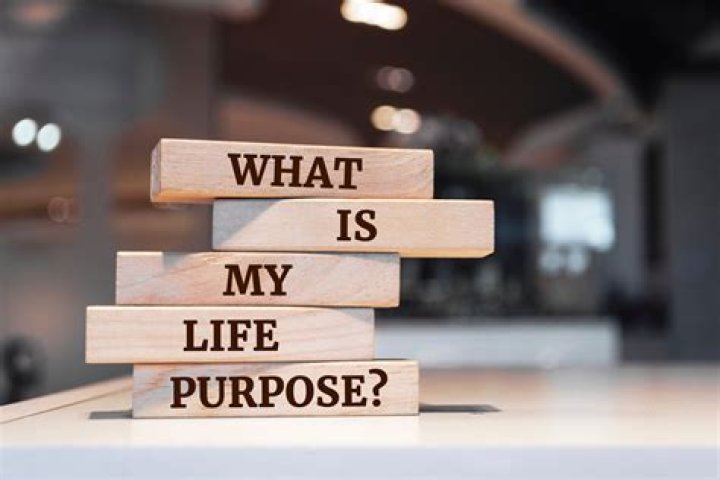 What is the purpose of being in a fraternity?