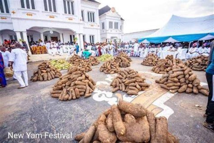 What is the purpose of the New Yam Festival?