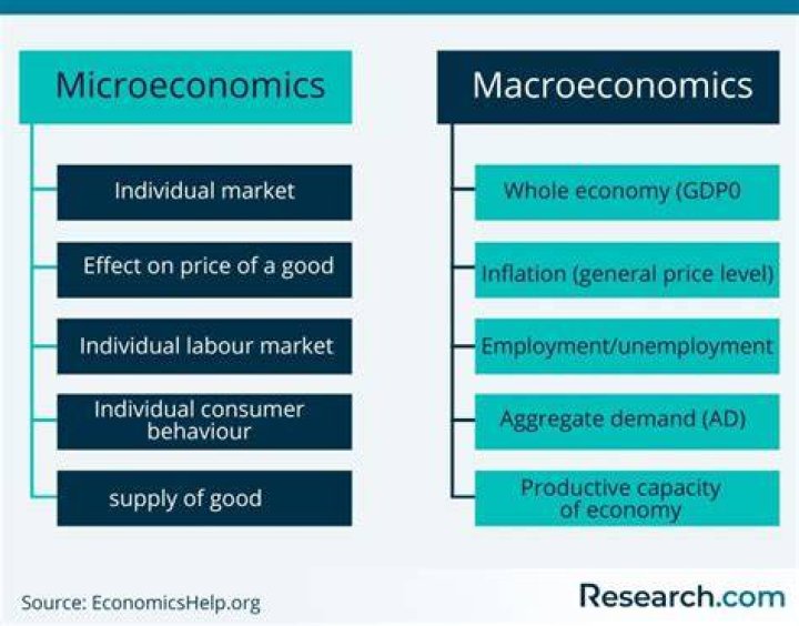 What is the relationship between microeconomics and business?