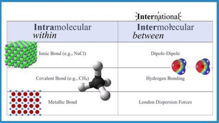 What is the relationship between molecular weight and intermolecular forces?
