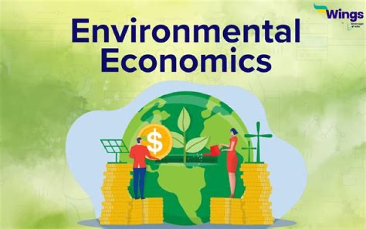 What is the role of environmental economics?