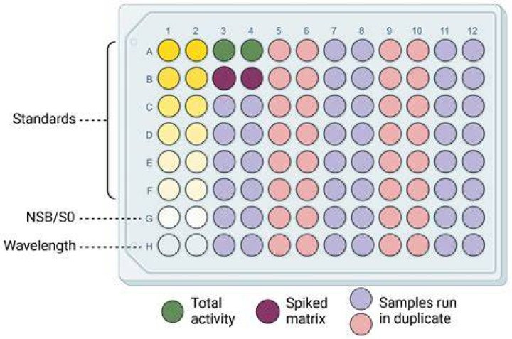 What is the role of the substrate in an ELISA test?