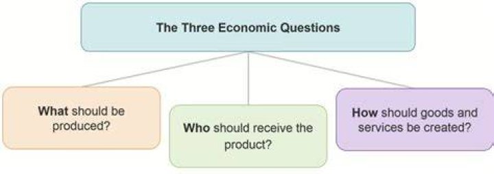 What is the role of the three questions of economics quizlet?