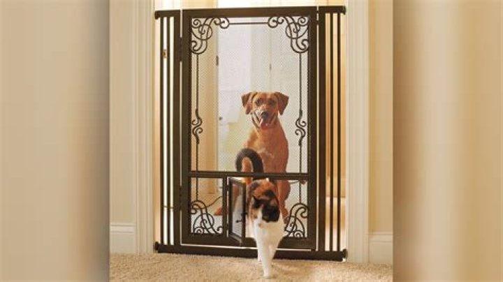 What is the shortest pet gate available?