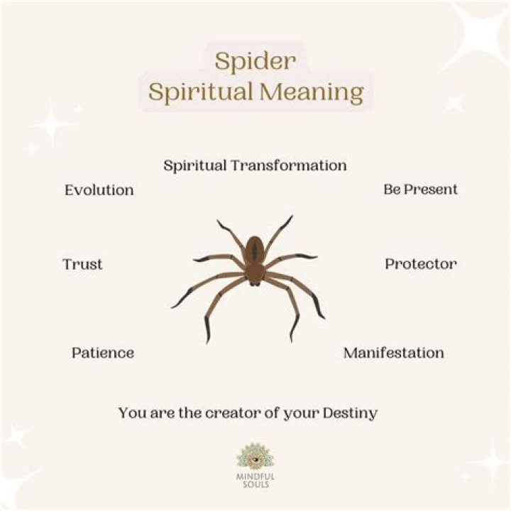 What is the spiritual meaning of spiders in your dream?