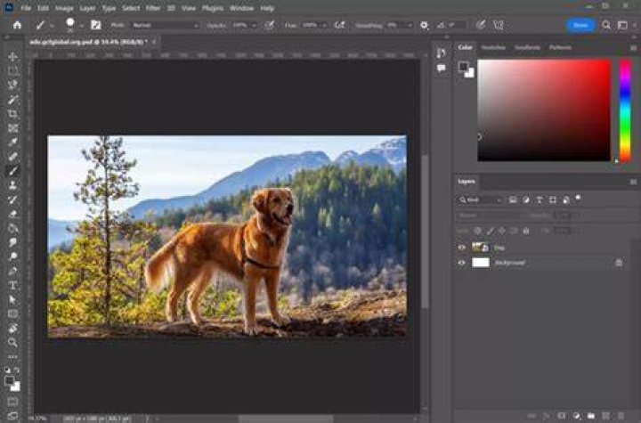 What is the use of Adobe Photoshop CS5?