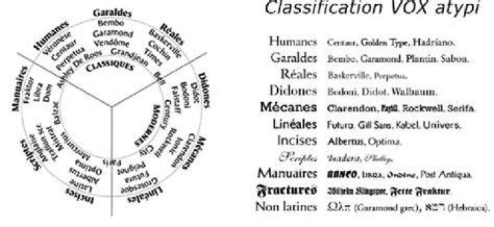 What is the VOX type classification?