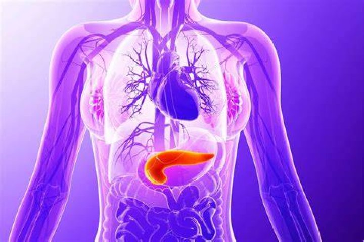 What is TLI pancreas?