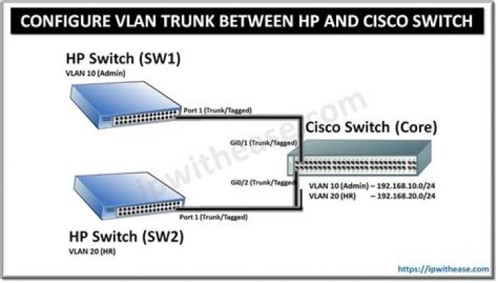 What is trunk on HP switch?