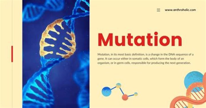 What is TUBA1A mutation?