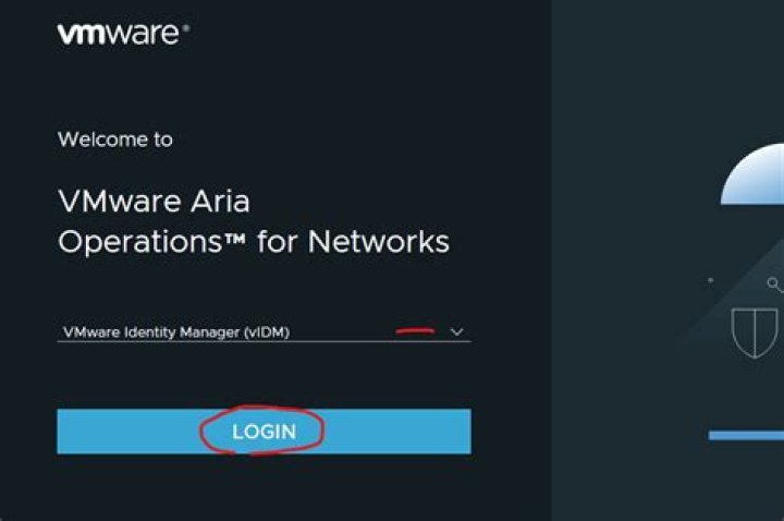 What is vIDM in VMware?